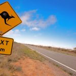 prevent wildlife collisions